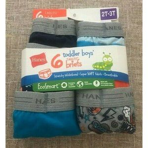 Hanes Boys' Toddler Brief, Assorted Colors Size 2T-3T Breathable EcoSmart